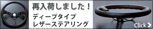 �ǥ����ץ쥶�����ƥ����